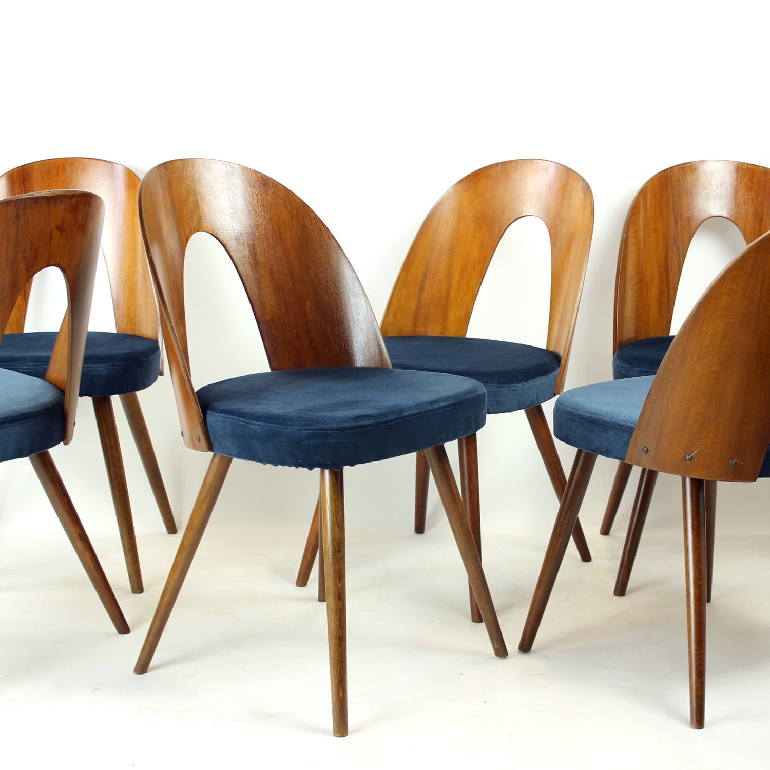 Set of Six Chairs, walnut, navy blue velvet, by A. Šuman, Tatra Nabytok, Czechoslovakia, 1960s. - 302766