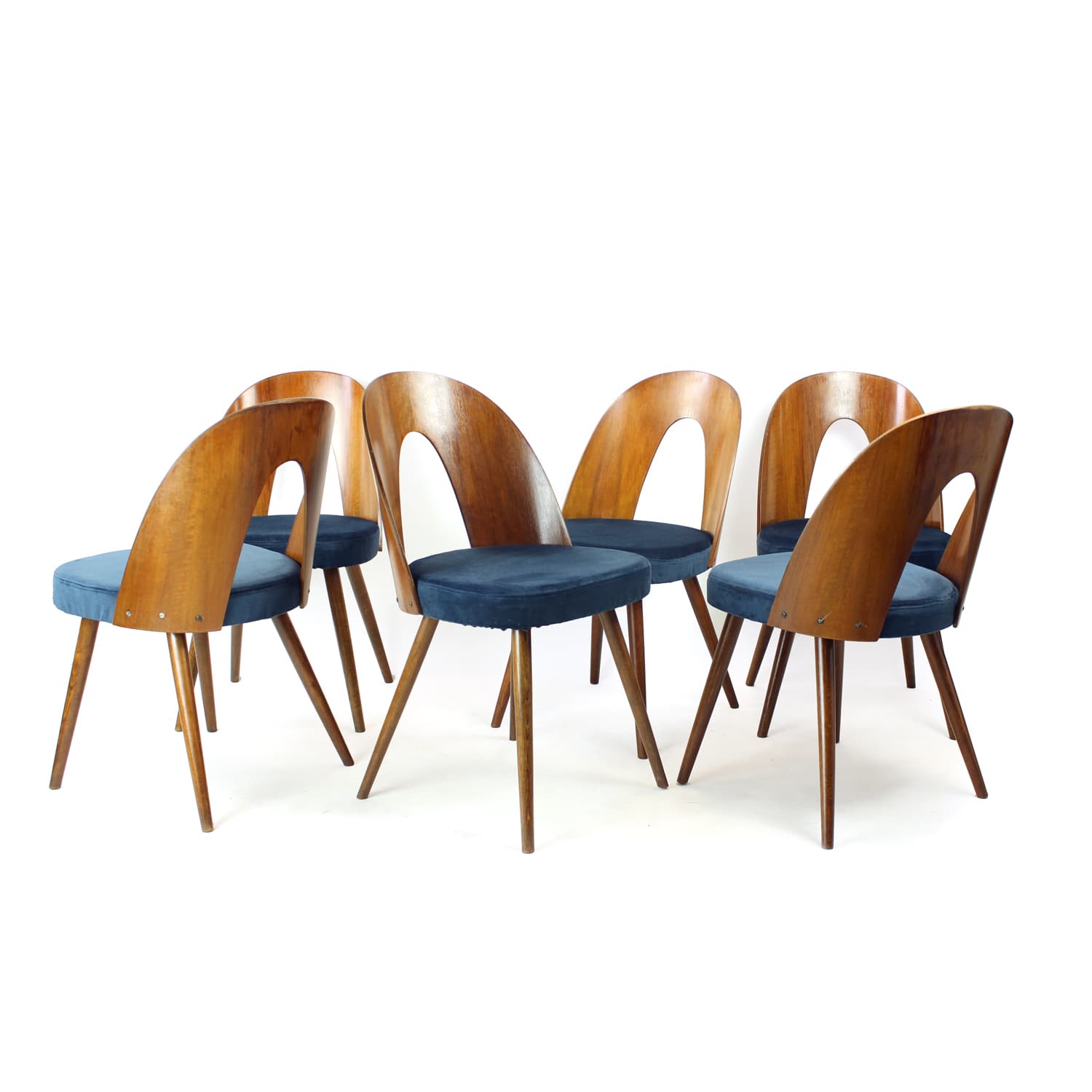 Set of Six Chairs, walnut, navy blue velvet, by A. Šuman, Tatra Nabytok, Czechoslovakia, 1960s. - 302764