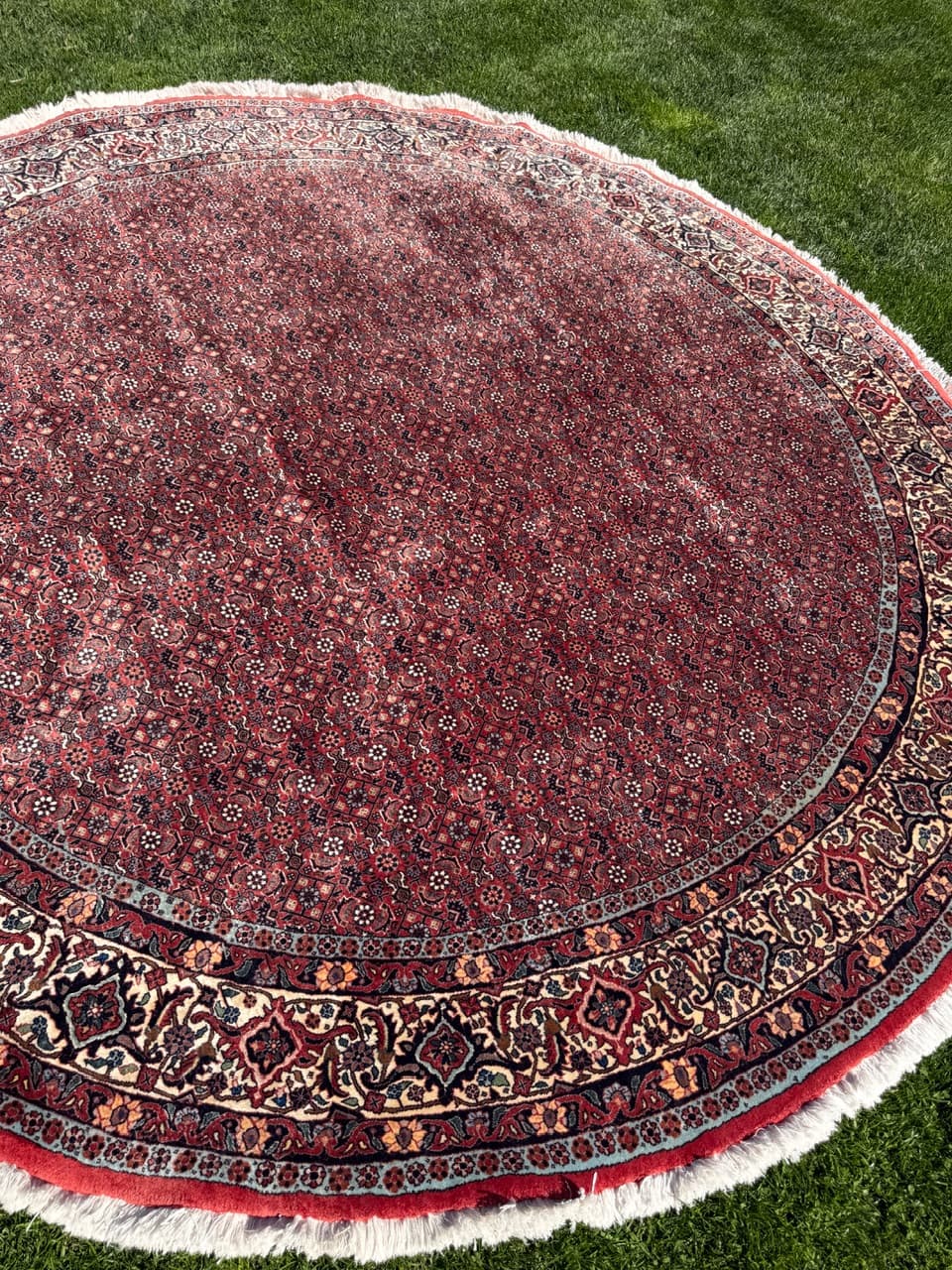 Dywan okrągły Bidjar 270x270 cm, czerwony, wełna kaszmirowa, Iran - 303060