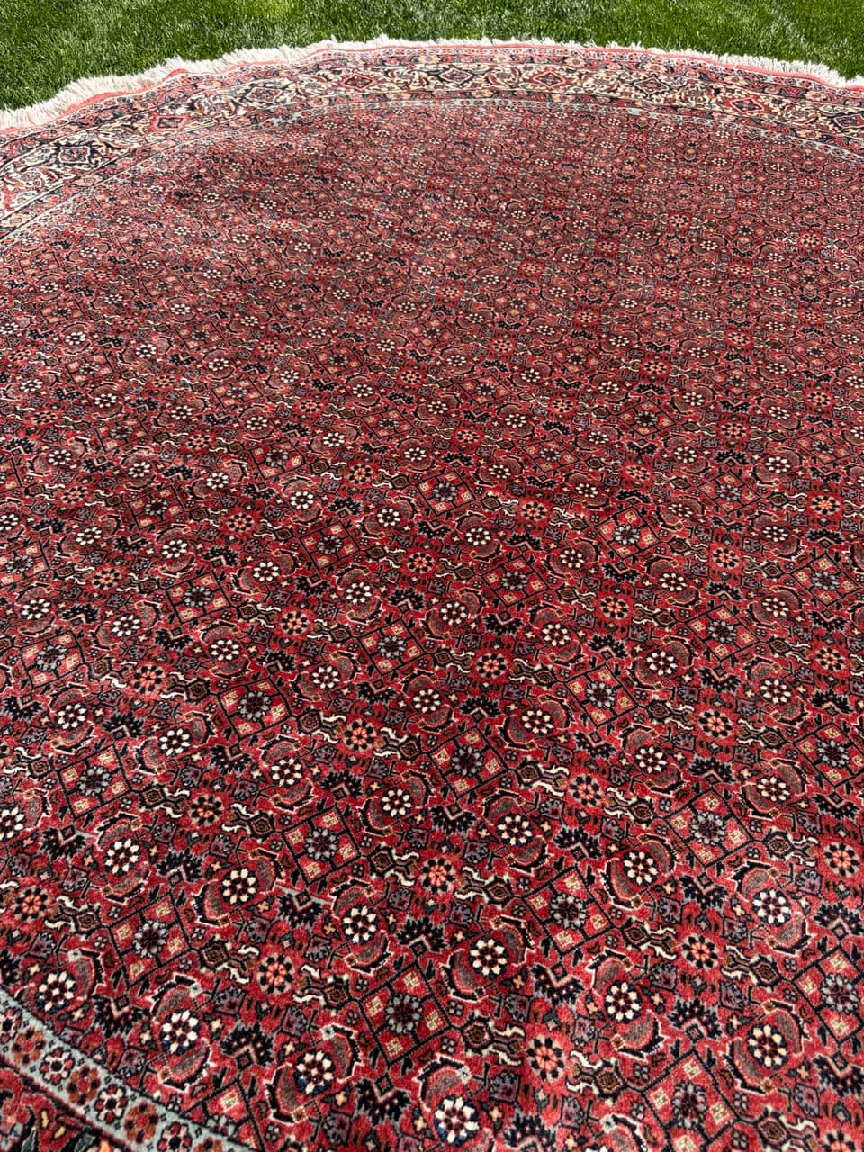 Dywan okrągły Bidjar 270x270 cm, czerwony, wełna kaszmirowa, Iran - 303072