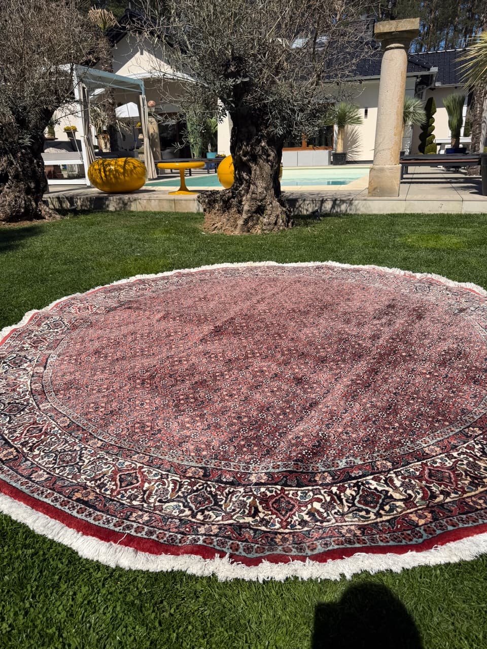 Dywan okrągły Bidjar 270x270 cm, czerwony, wełna kaszmirowa, Iran - 303065