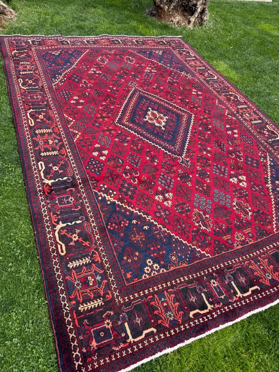 Dywan perski Bidjar, czerwony granatowy beżowy złoty czarny, wełna, Iran, 350x250 cm - 304630