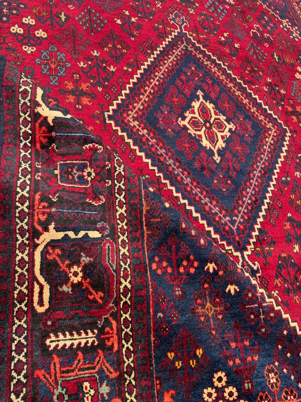 Dywan perski Bidjar, czerwony granatowy beżowy złoty czarny, wełna, Iran, 350x250 cm - 304633