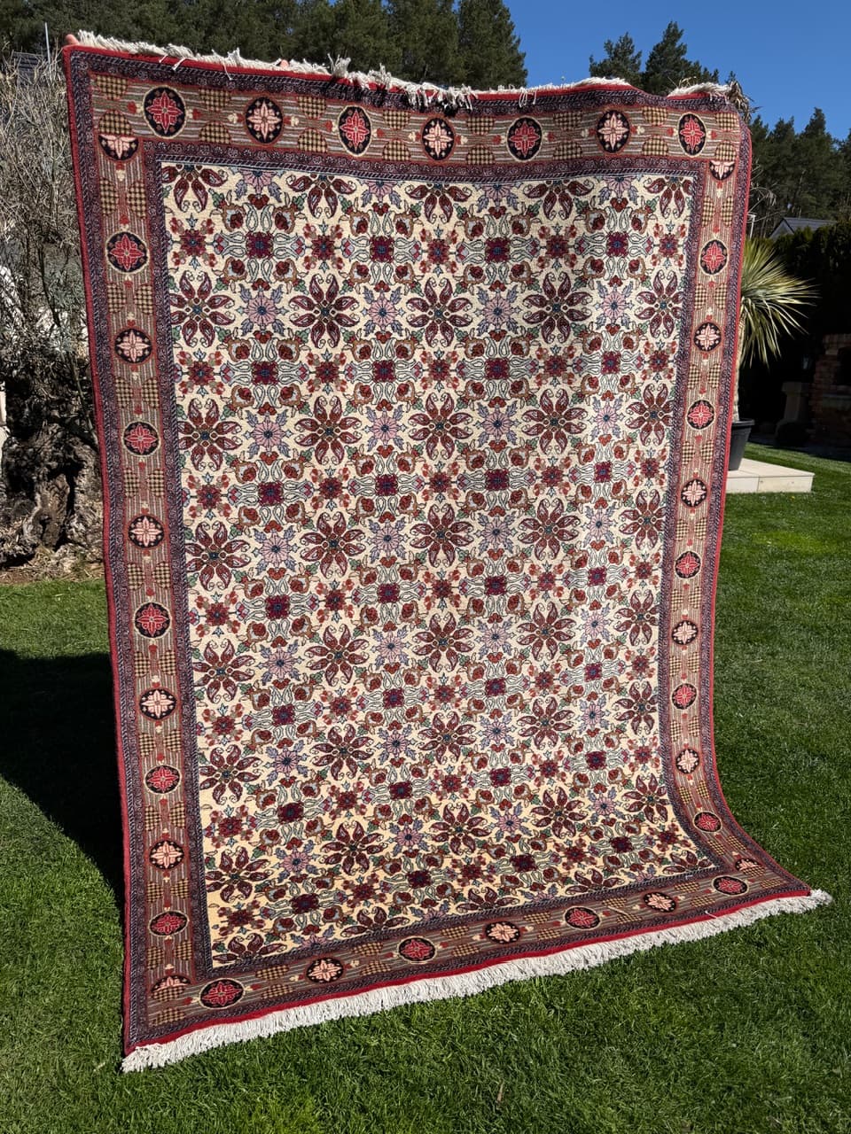 Persian Rug Bidjar 245x170 cm, beige, cashmere wool, Iran - 304742