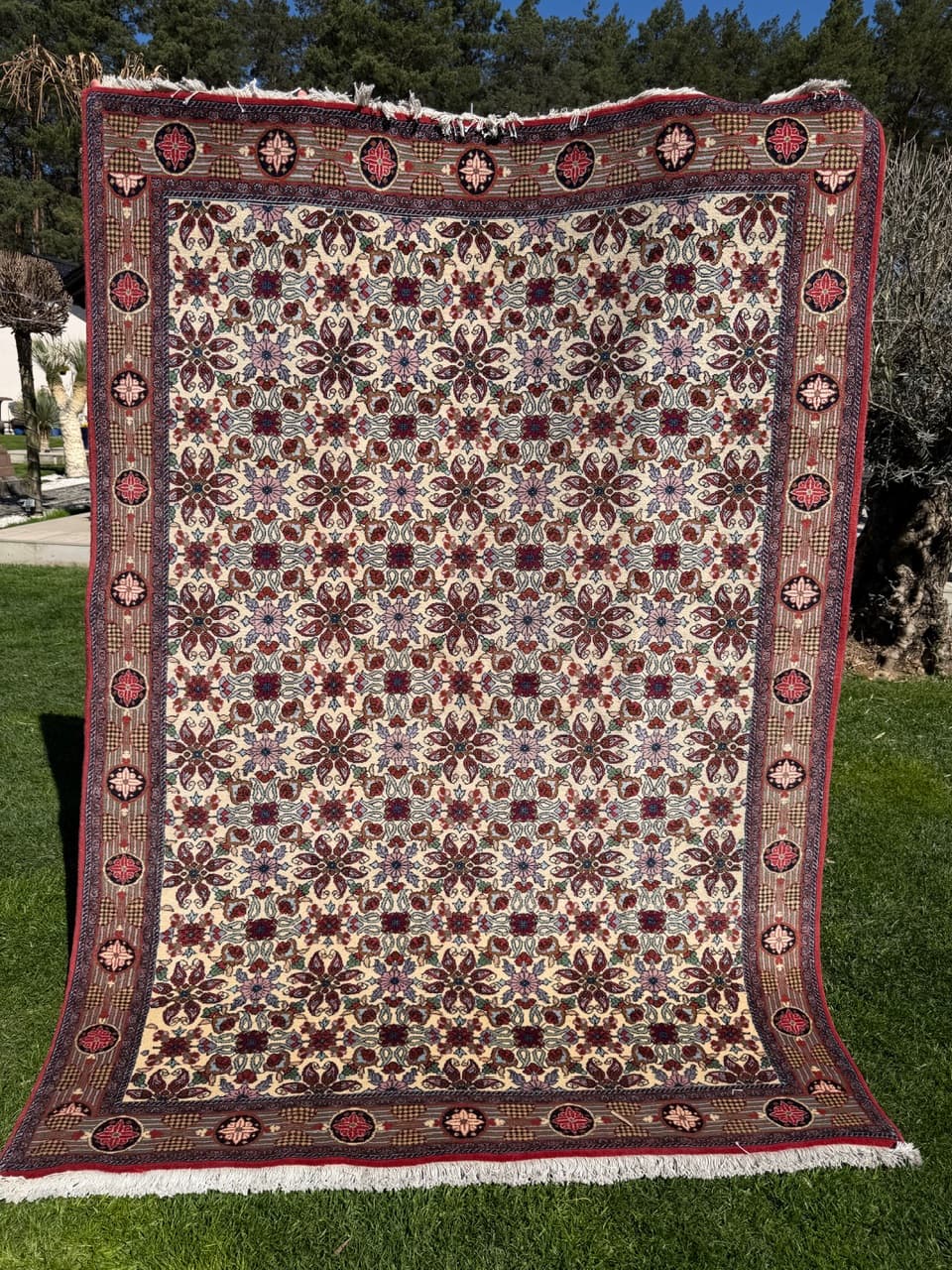 Persian Rug Bidjar 245x170 cm, beige, cashmere wool, Iran - 304750