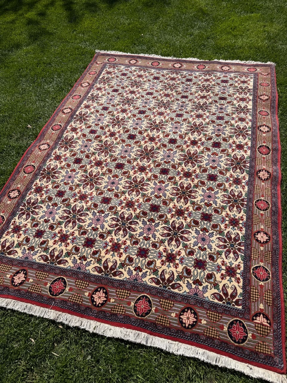 Persian Rug Bidjar 245x170 cm, beige, cashmere wool, Iran - 304756