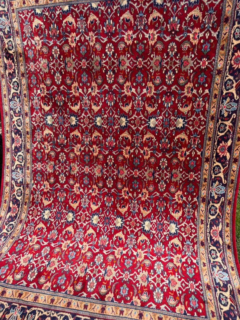 Rug Bidjar, red, cashmere wool, Iran, 310x200 cm - 304797