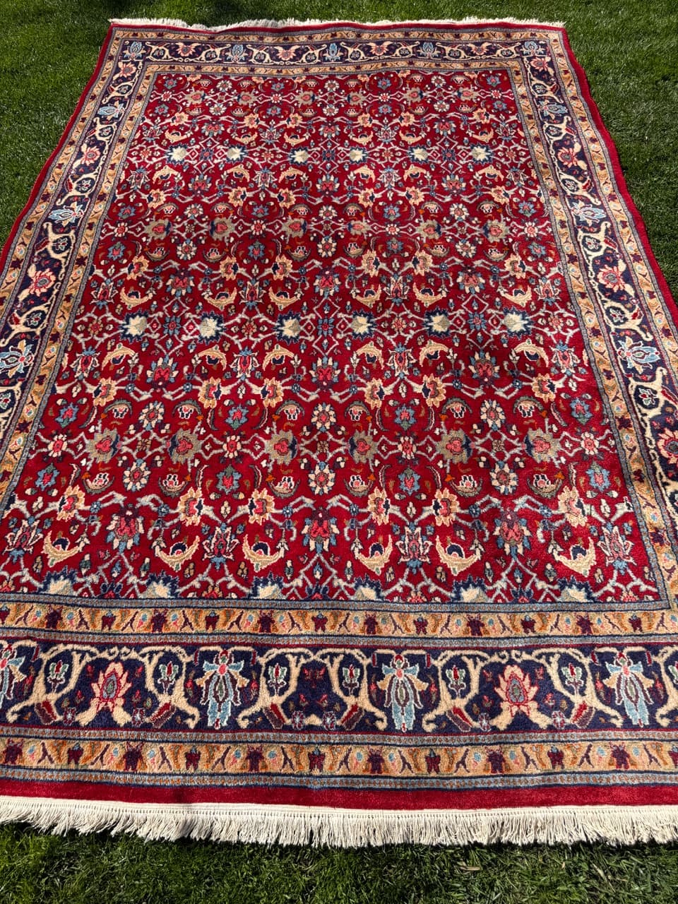 Rug Bidjar, red, cashmere wool, Iran, 310x200 cm - 304799