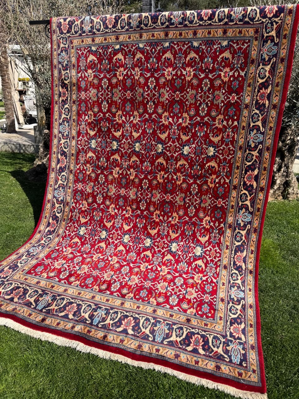 Rug Bidjar, red, cashmere wool, Iran, 310x200 cm - 304793