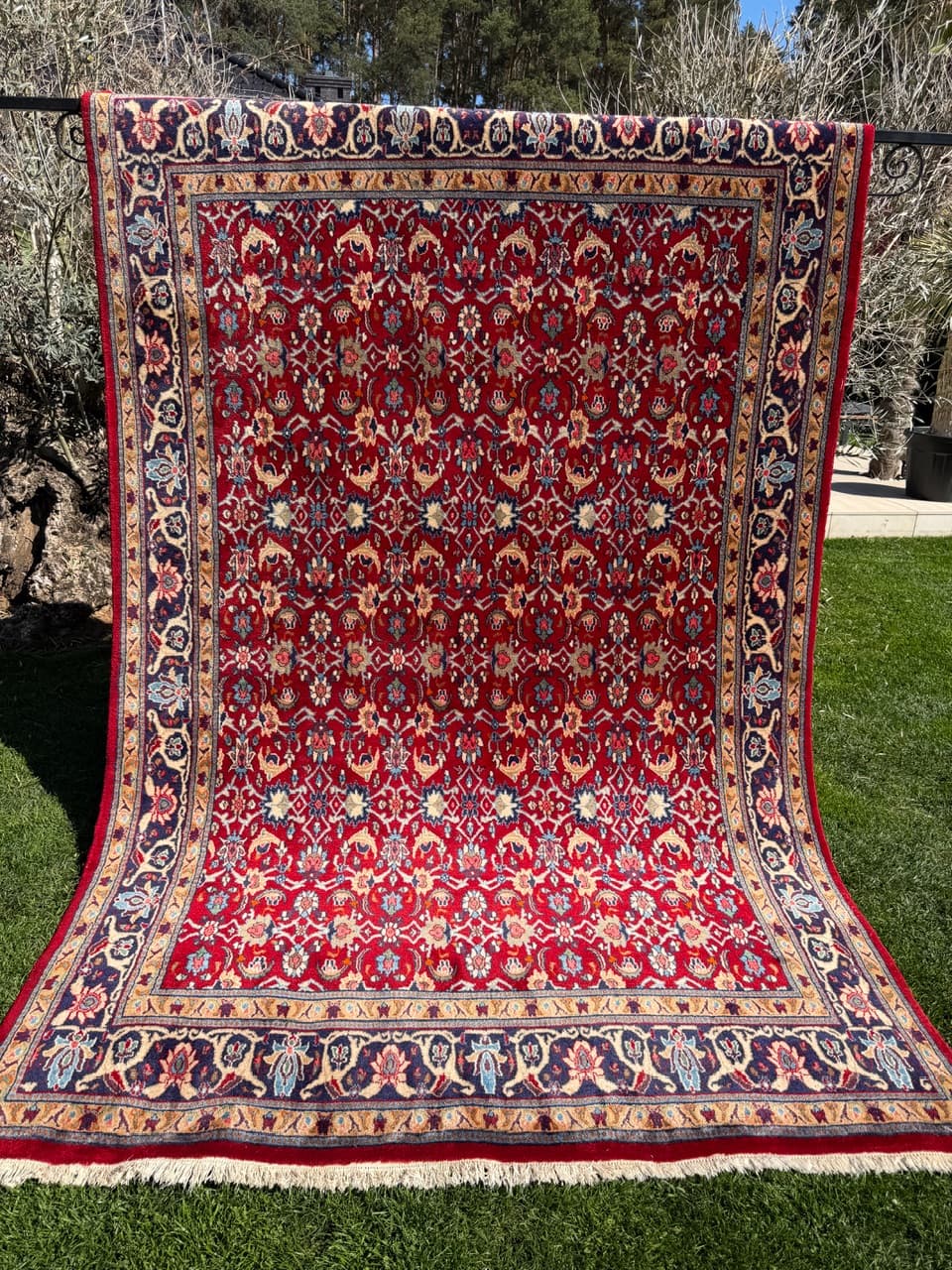 Rug Bidjar, red, cashmere wool, Iran, 310x200 cm - 304806