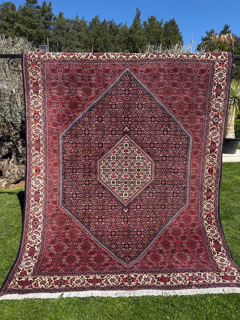 Rug Bidjar 260x200 cm, burgundy, cashmere wool, Iran - 304809