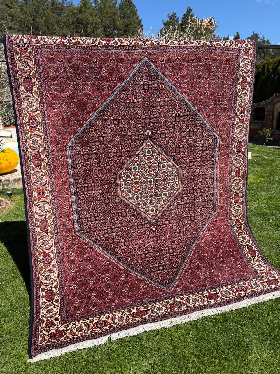 Rug Bidjar 260x200 cm, burgundy, cashmere wool, Iran - 304808