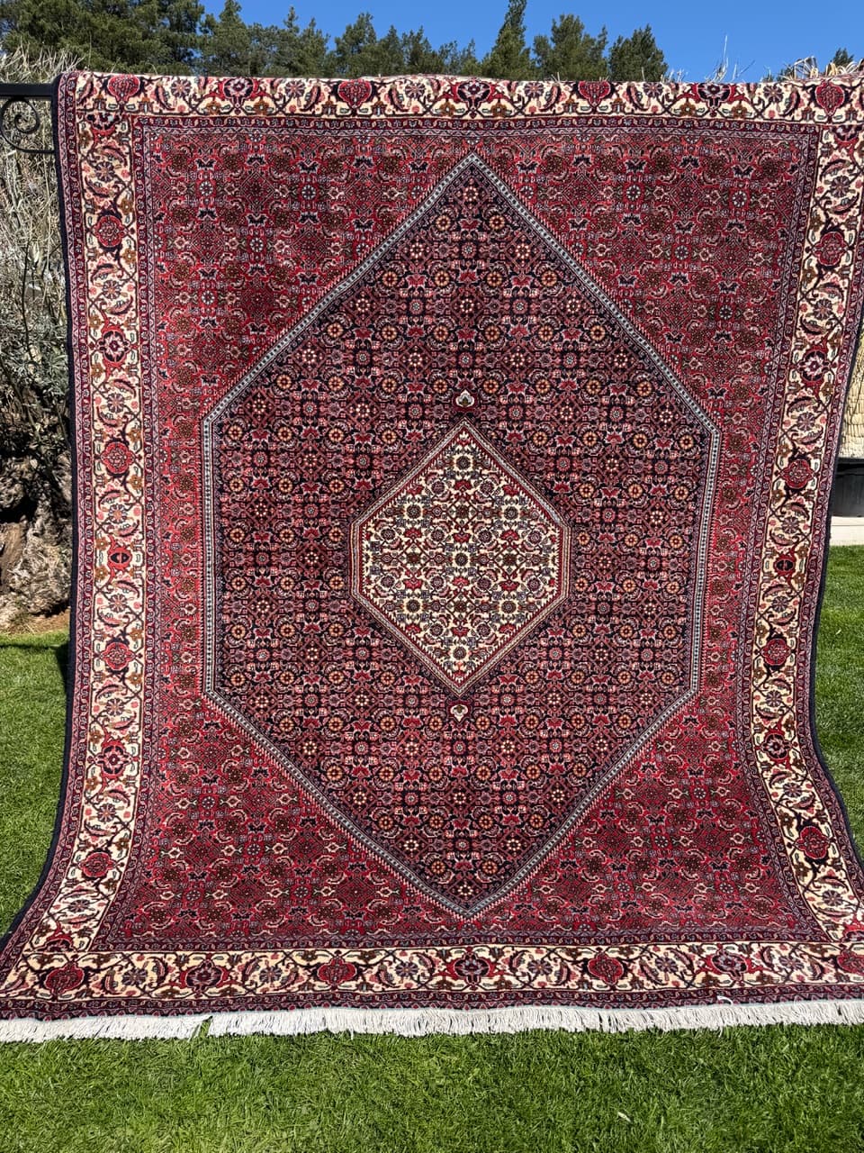 Rug Bidjar 260x200 cm, burgundy, cashmere wool, Iran - 304820