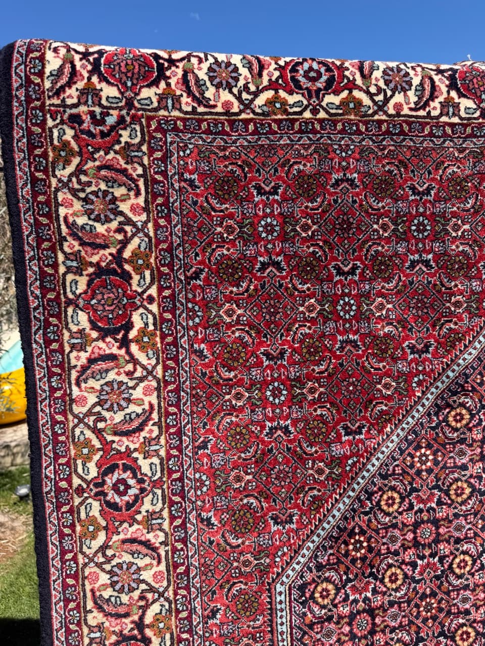 Rug Bidjar 260x200 cm, burgundy, cashmere wool, Iran - 304810