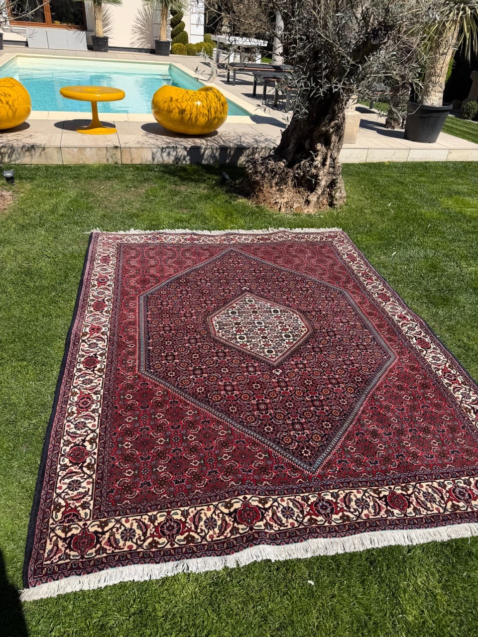 Rug Bidjar 260x200 cm, burgundy, cashmere wool, Iran - 304814