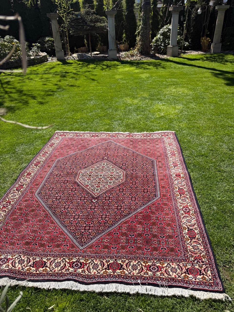 Rug Bidjar 260x200 cm, burgundy, cashmere wool, Iran - 304815