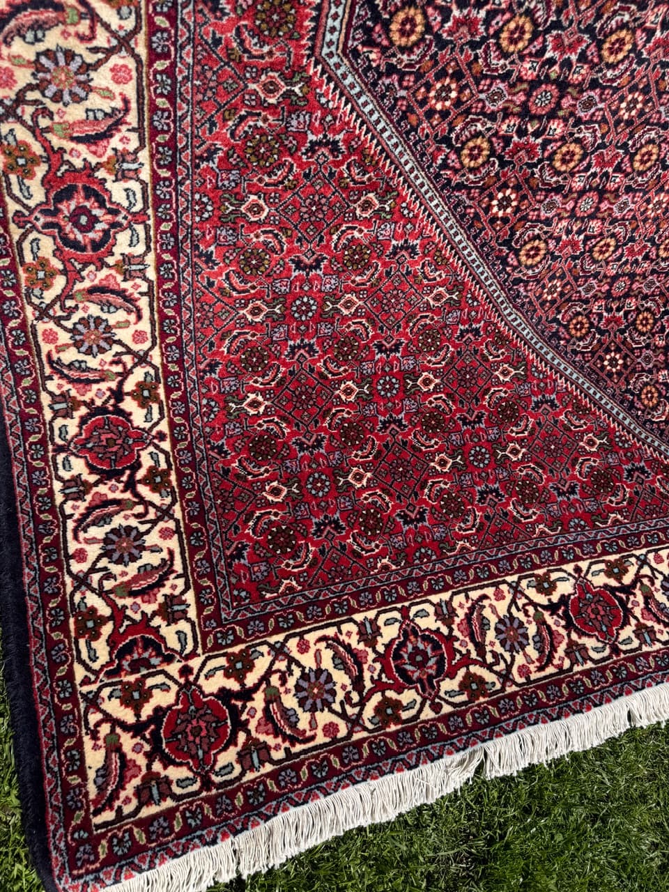 Rug Bidjar 260x200 cm, burgundy, cashmere wool, Iran - 304813