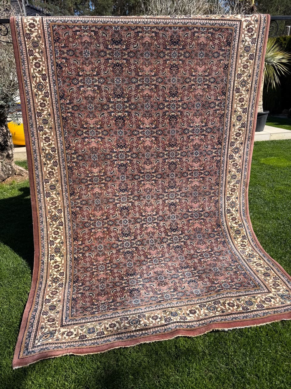 Rug Indo Bidjar 300x200 cm, red, Kashmiri wool, India - 304847