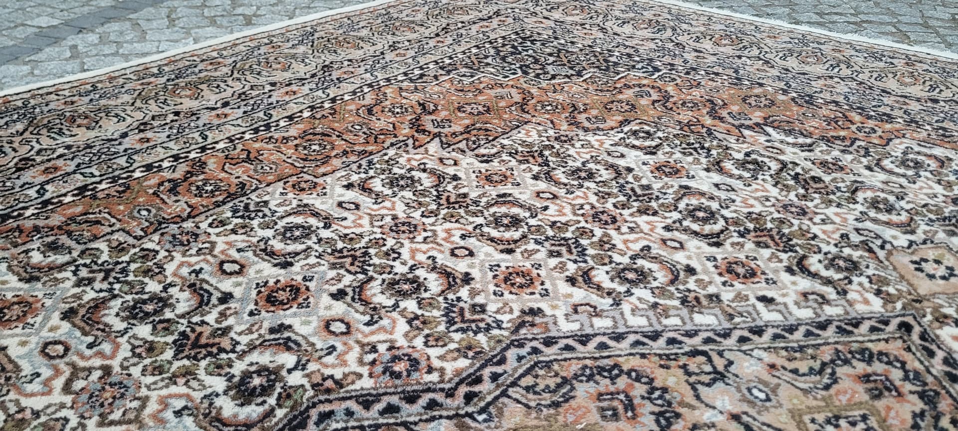 Dywan Indo Bidjar 285x315 cm, kość słoniowa, wełna, bawełna, Indie - 305581