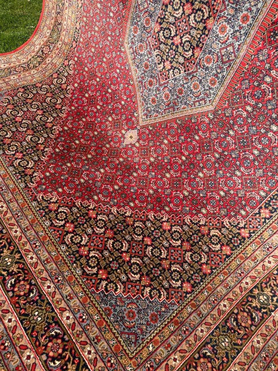 Rug Indo Bidjar 350x250 cm, multicolor wool, India - 309656