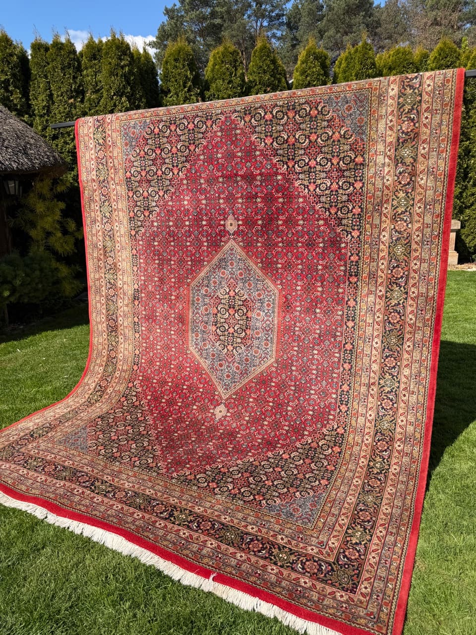 Rug Indo Bidjar 350x250 cm, multicolor wool, India - 309660