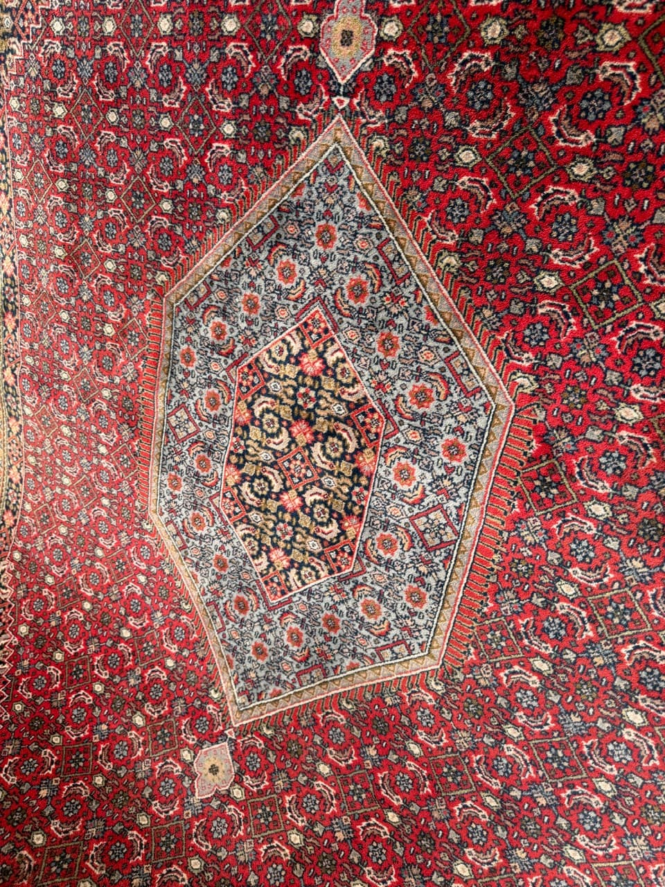 Rug Indo Bidjar 350x250 cm, multicolor wool, India - 309658