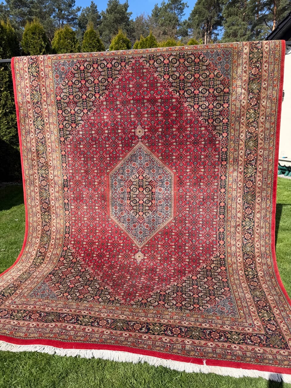 Rug Indo Bidjar 350x250 cm, multicolor wool, India - 309655