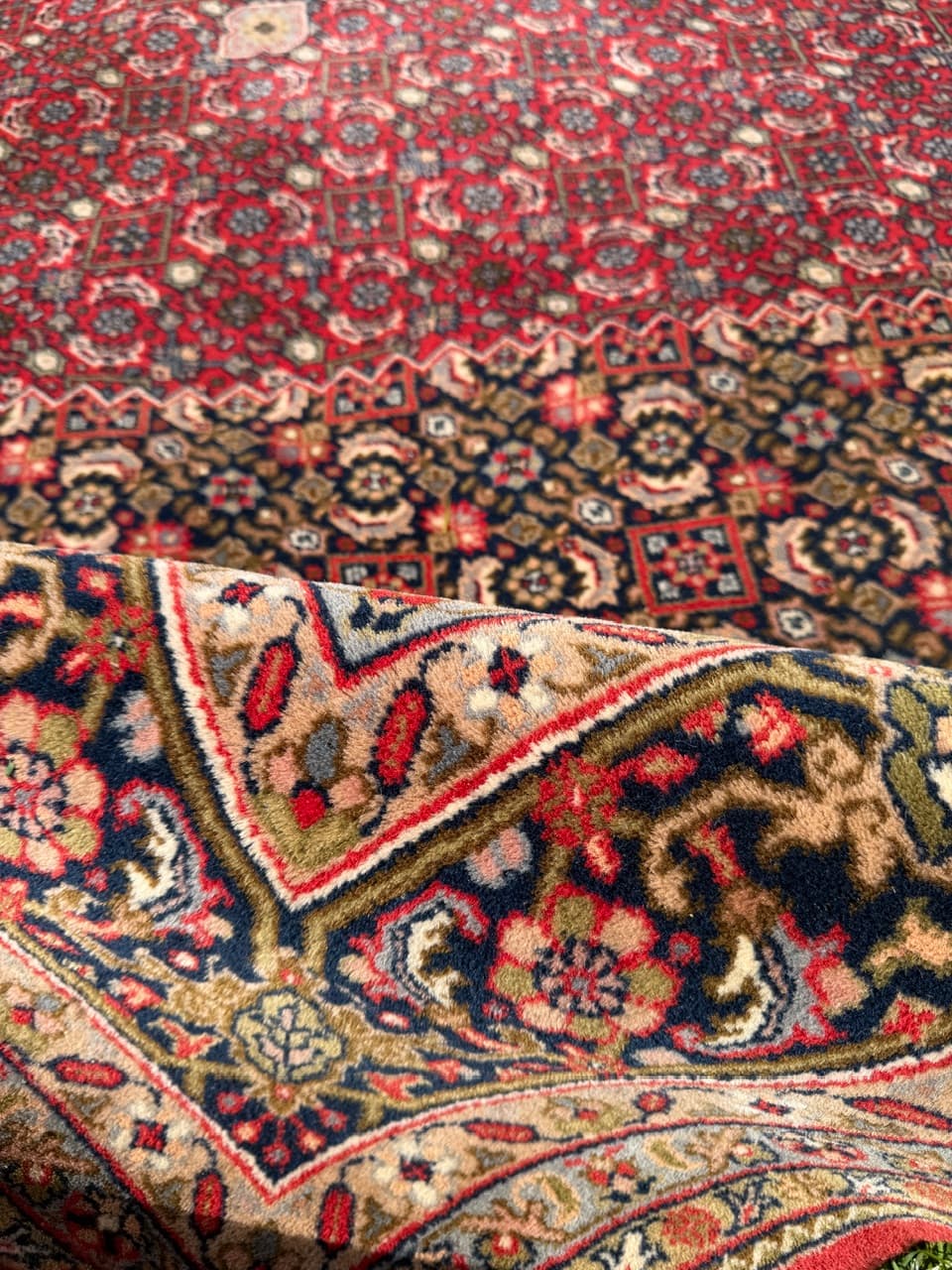 Rug Indo Bidjar 350x250 cm, multicolor wool, India - 309664