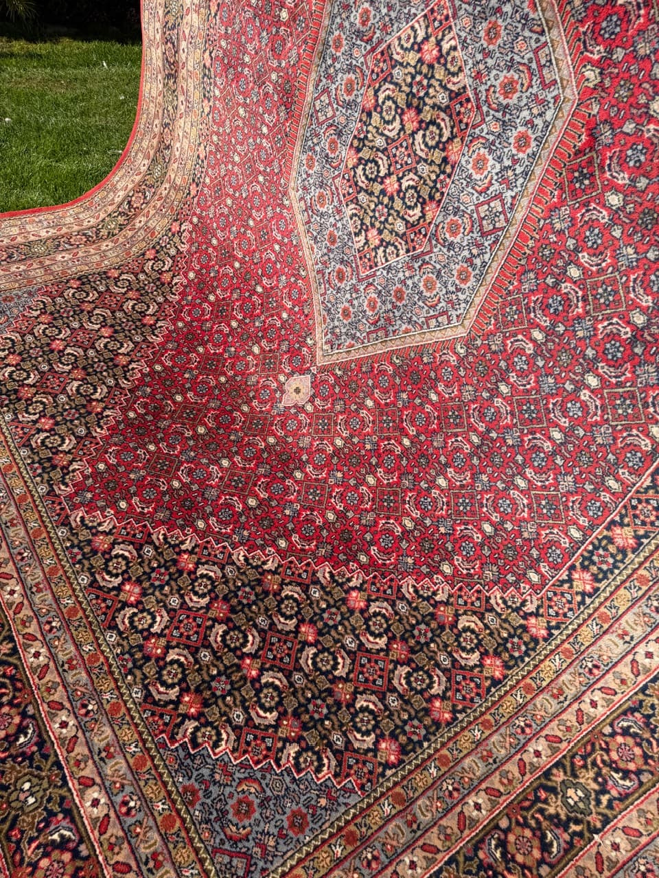 Rug Indo Bidjar 350x250 cm, multicolor wool, India - 309659