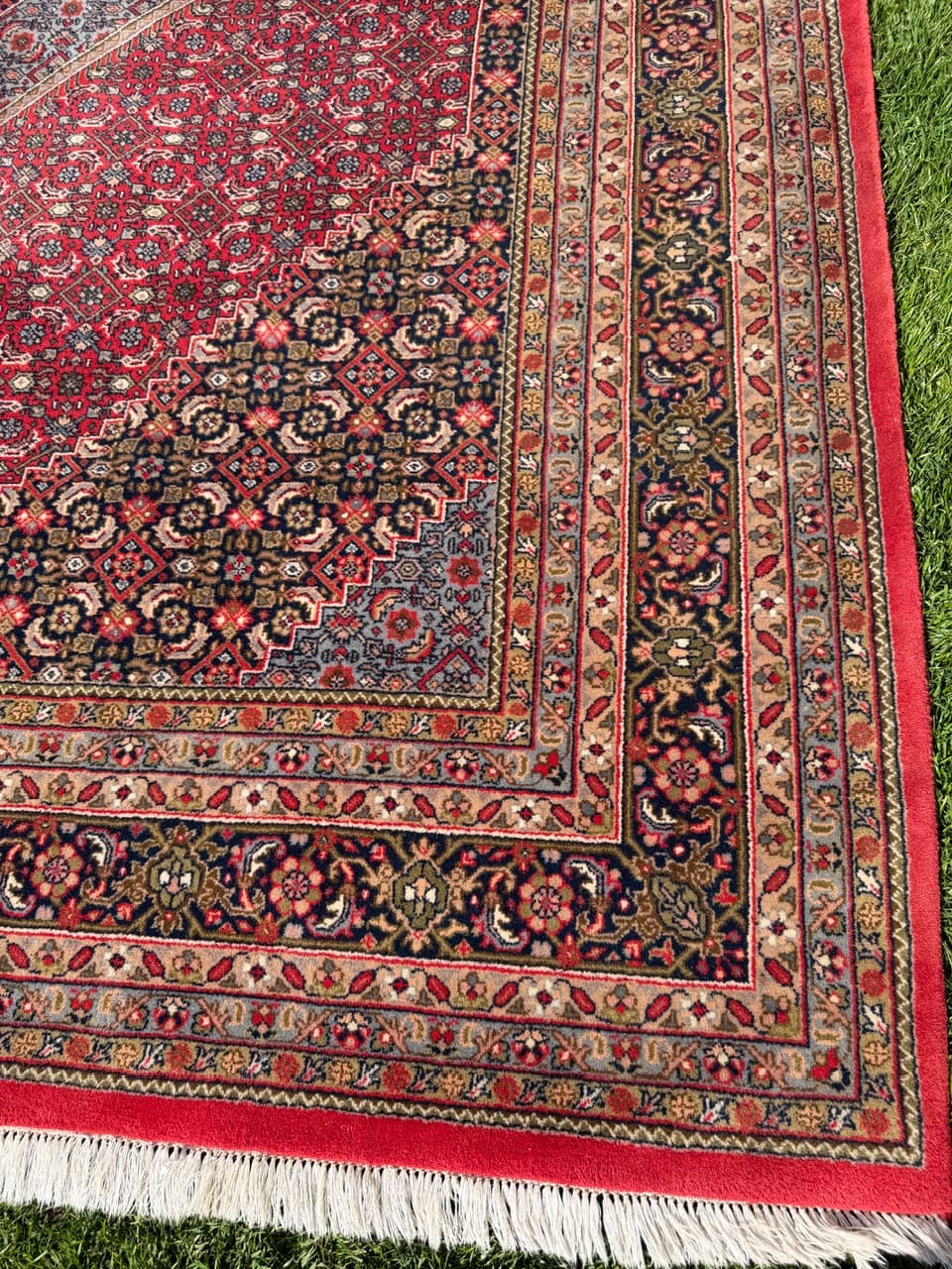 Rug Indo Bidjar 350x250 cm, multicolor wool, India - 309665
