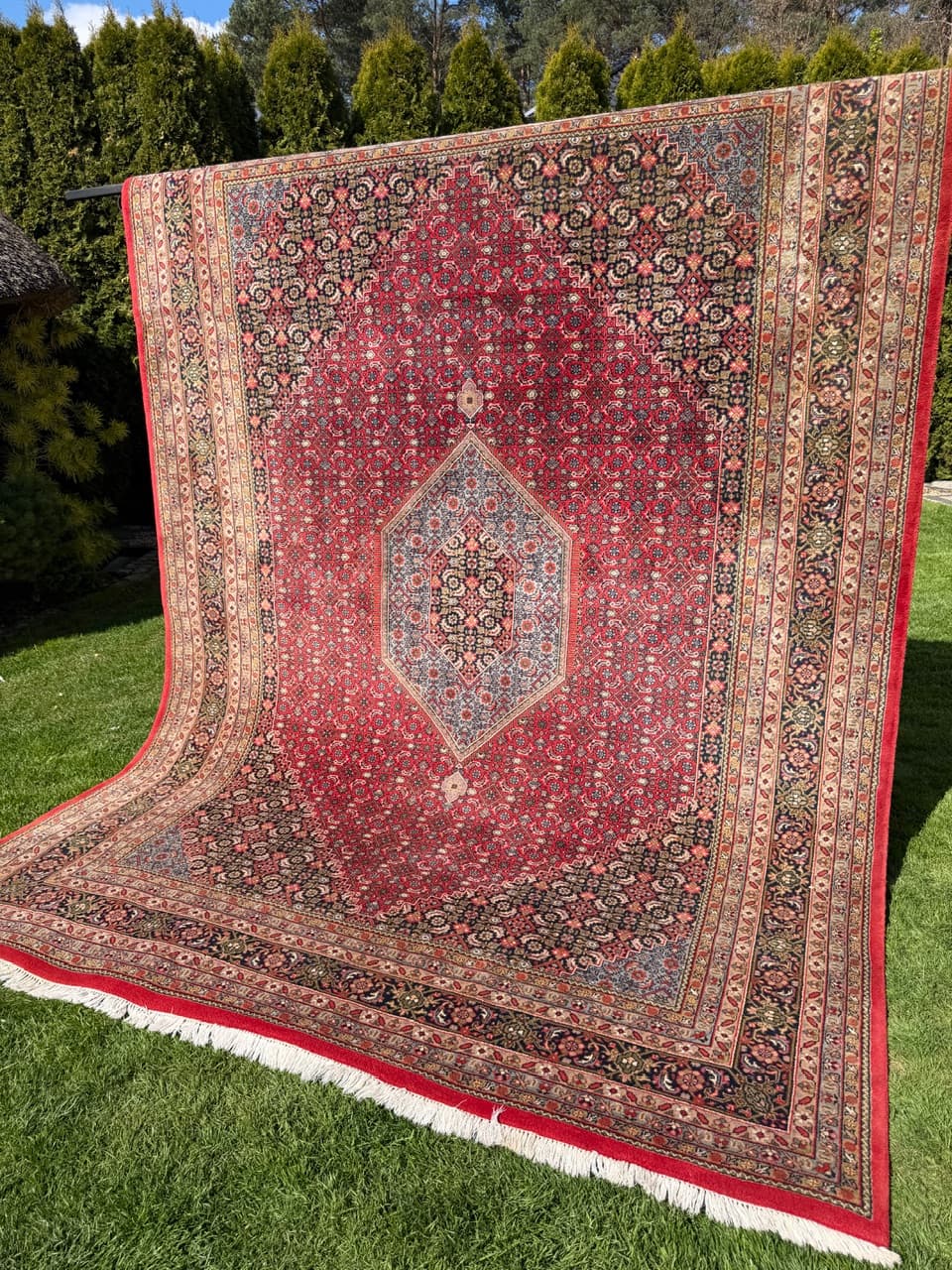 Rug Indo Bidjar 350x250 cm, multicolor wool, India - 309654