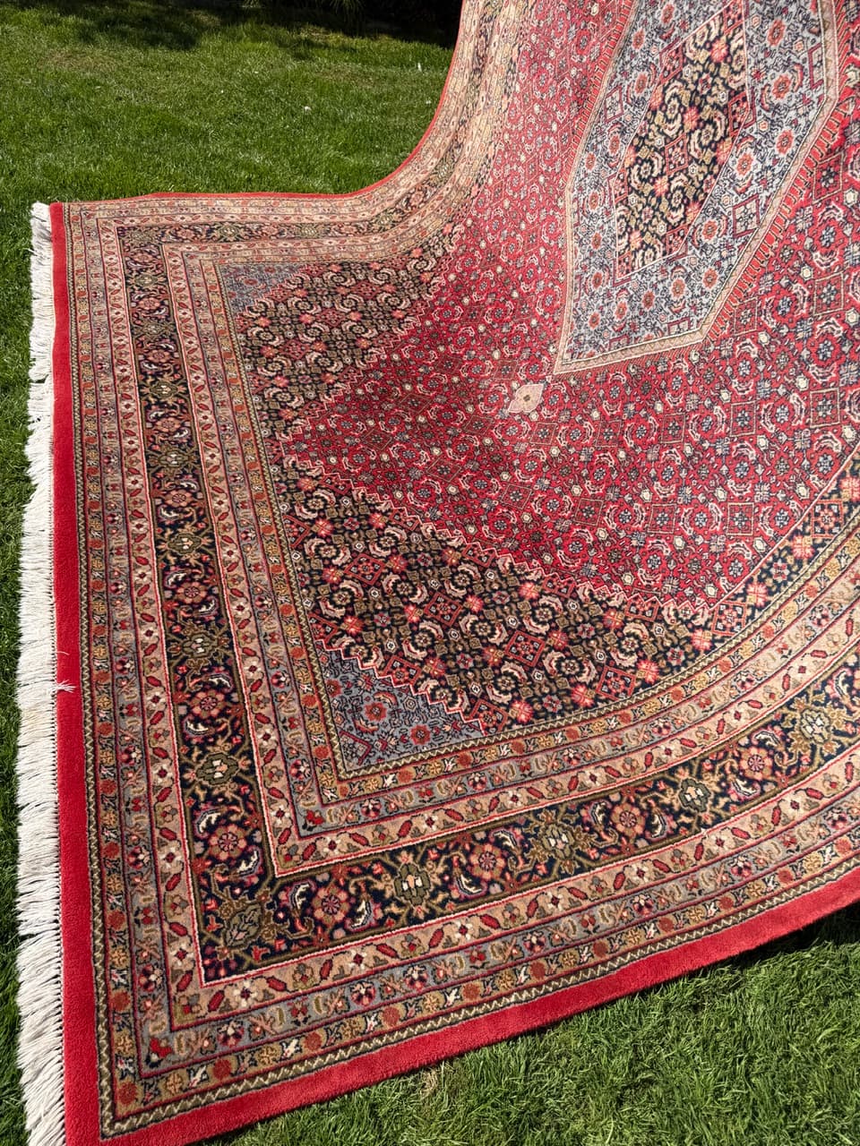 Rug Indo Bidjar 350x250 cm, multicolor wool, India - 309657
