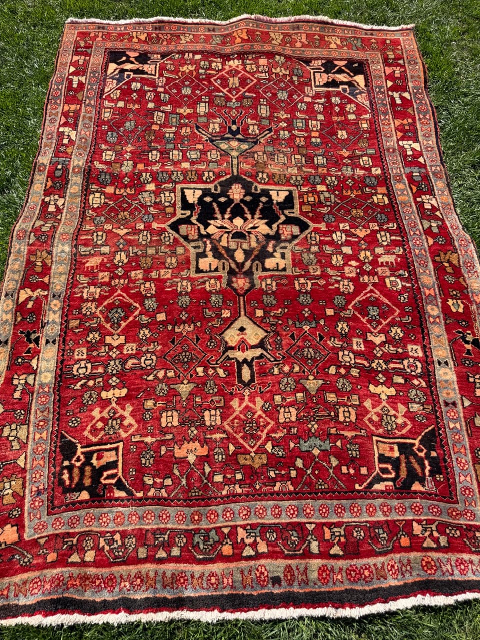 Rug Bidjar 205x135 cm, red, Kashmiri wool, Iran - 312894