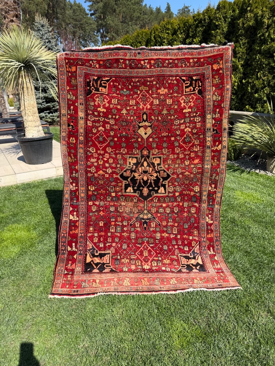 Rug Bidjar 205x135 cm, red, Kashmiri wool, Iran - 312886