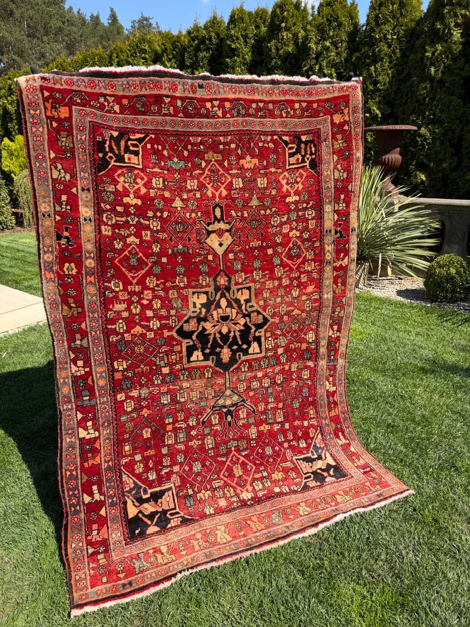 Rug Bidjar 205x135 cm, red, Kashmiri wool, Iran - 312888