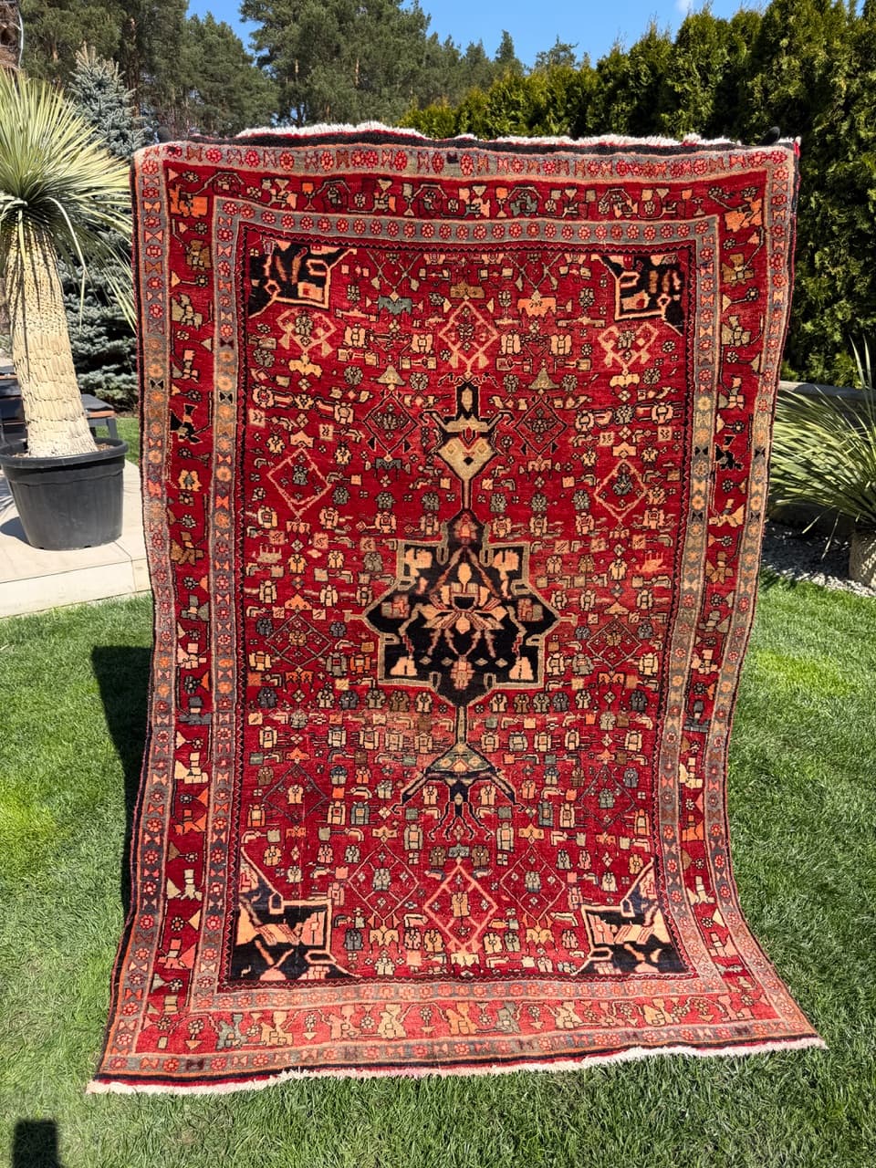 Rug Bidjar 205x135 cm, red, Kashmiri wool, Iran - 312887