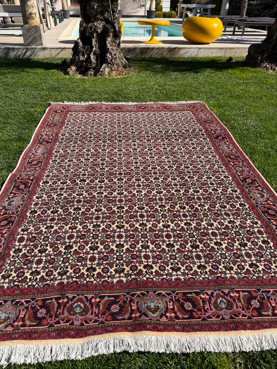 Rug Bidjar 260x175 cm, burgundy multicolor, Kashmiri wool, Iran - 314632
