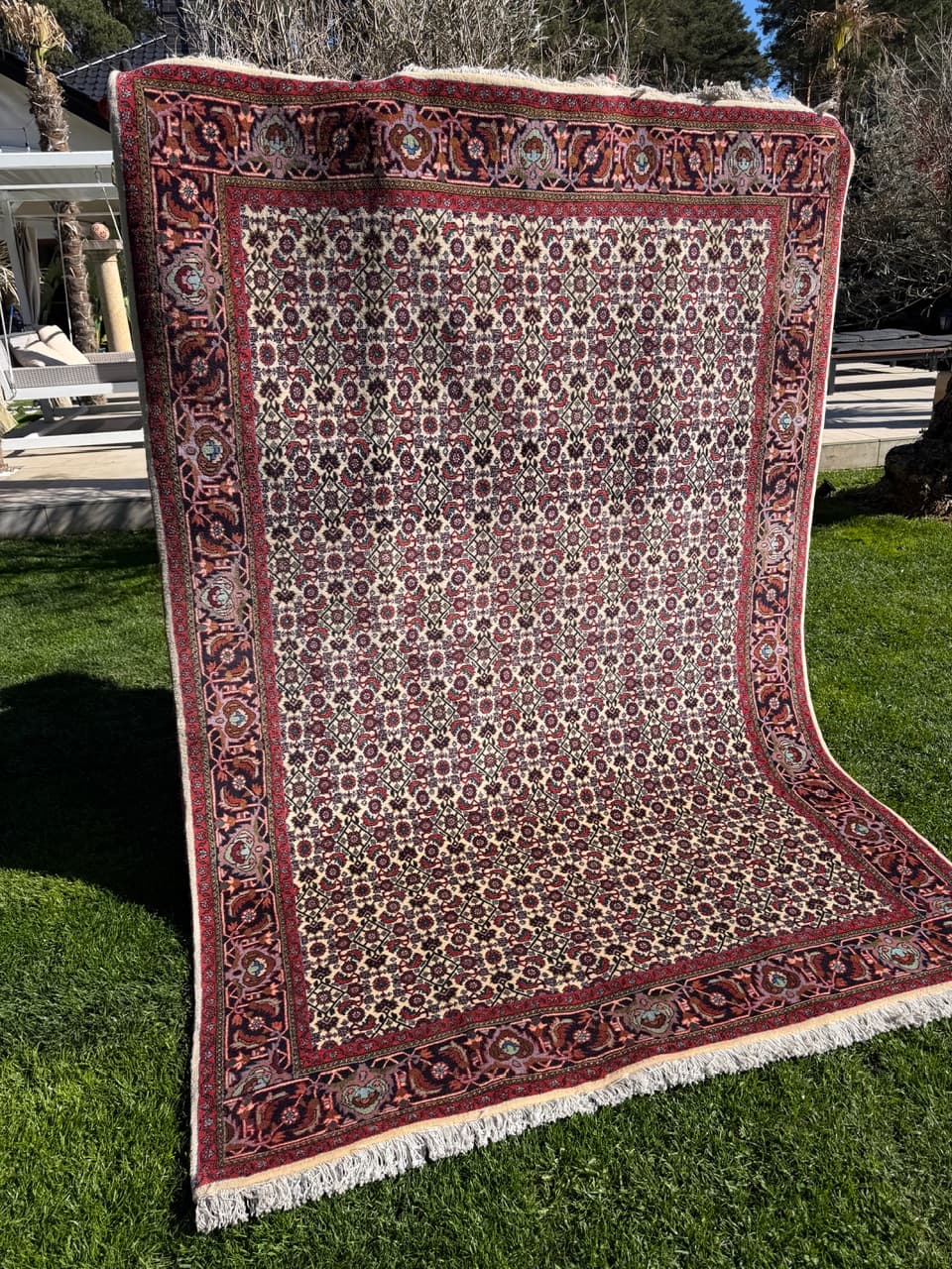 Rug Bidjar 260x175 cm, burgundy multicolor, Kashmiri wool, Iran - 314637