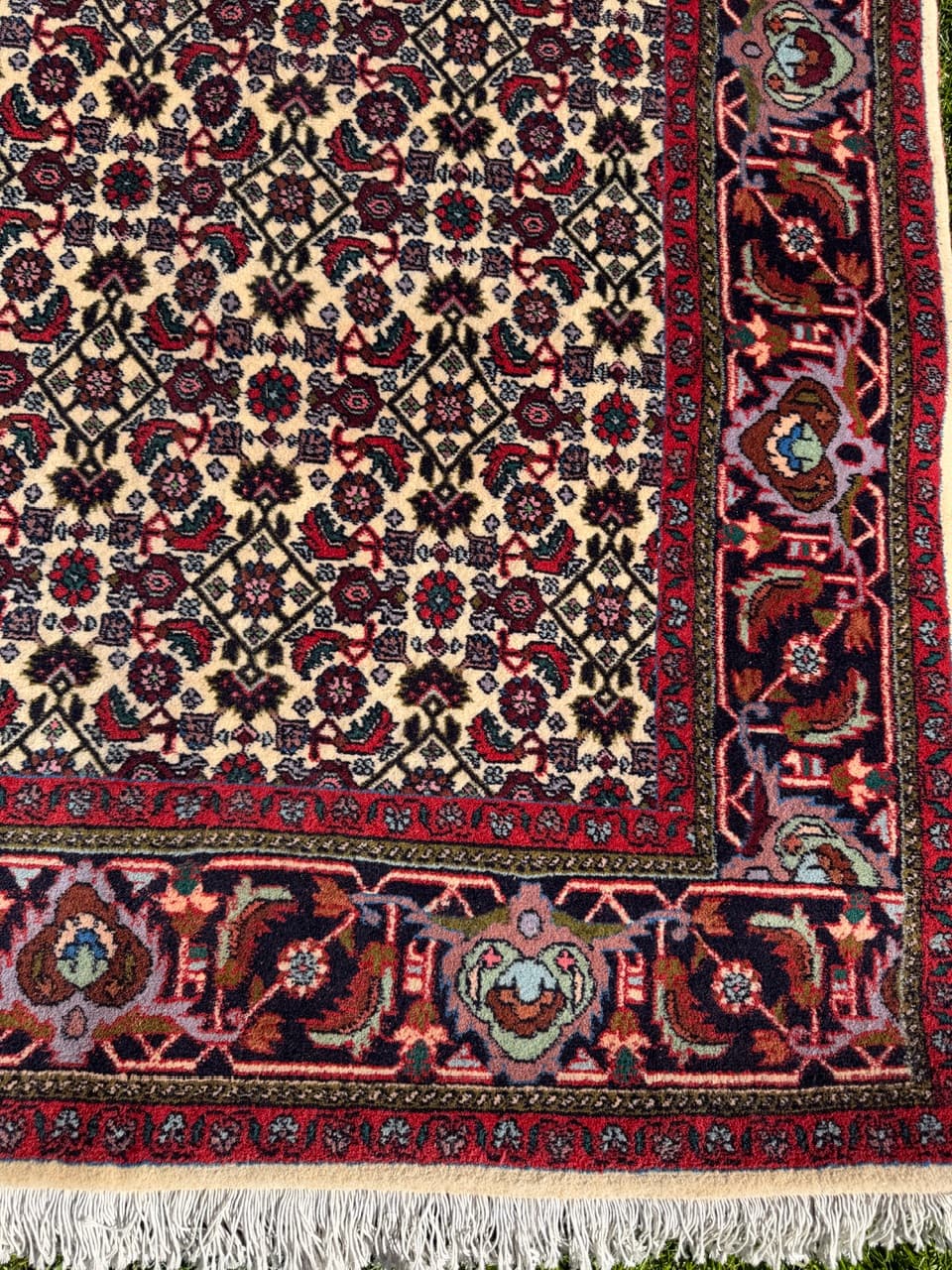 Rug Bidjar 260x175 cm, burgundy multicolor, Kashmiri wool, Iran - 314636