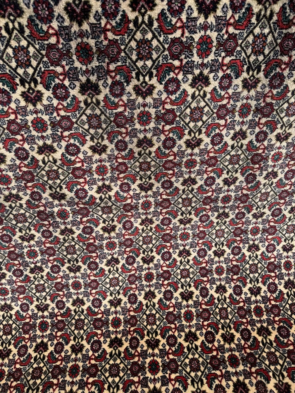 Rug Bidjar 260x175 cm, burgundy multicolor, Kashmiri wool, Iran - 314640