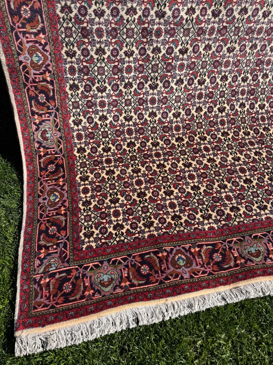 Rug Bidjar 260x175 cm, burgundy multicolor, Kashmiri wool, Iran - 314639