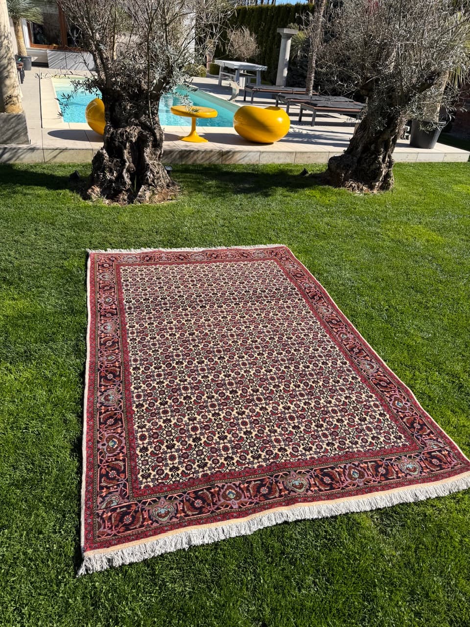 Rug Bidjar 260x175 cm, burgundy multicolor, Kashmiri wool, Iran - 314631