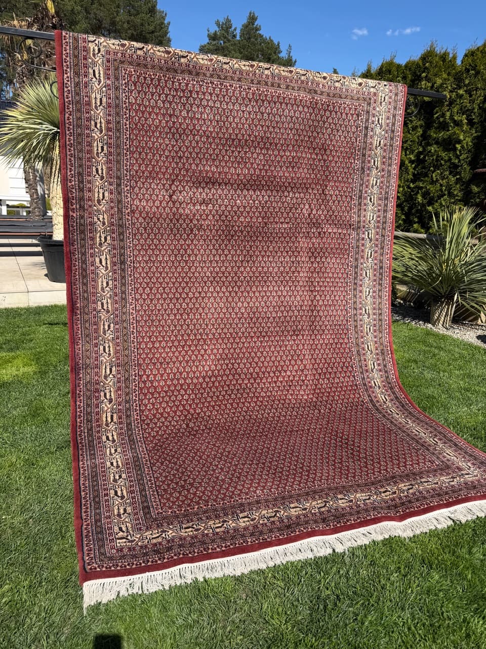 Rug Indo Mir 300x200 cm, burgundy, Kashmiri wool, India - 319174