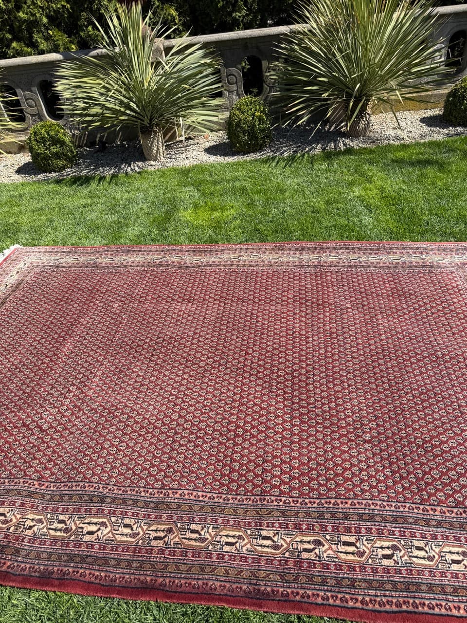 Rug Indo Mir 300x200 cm, burgundy, Kashmiri wool, India - 319182