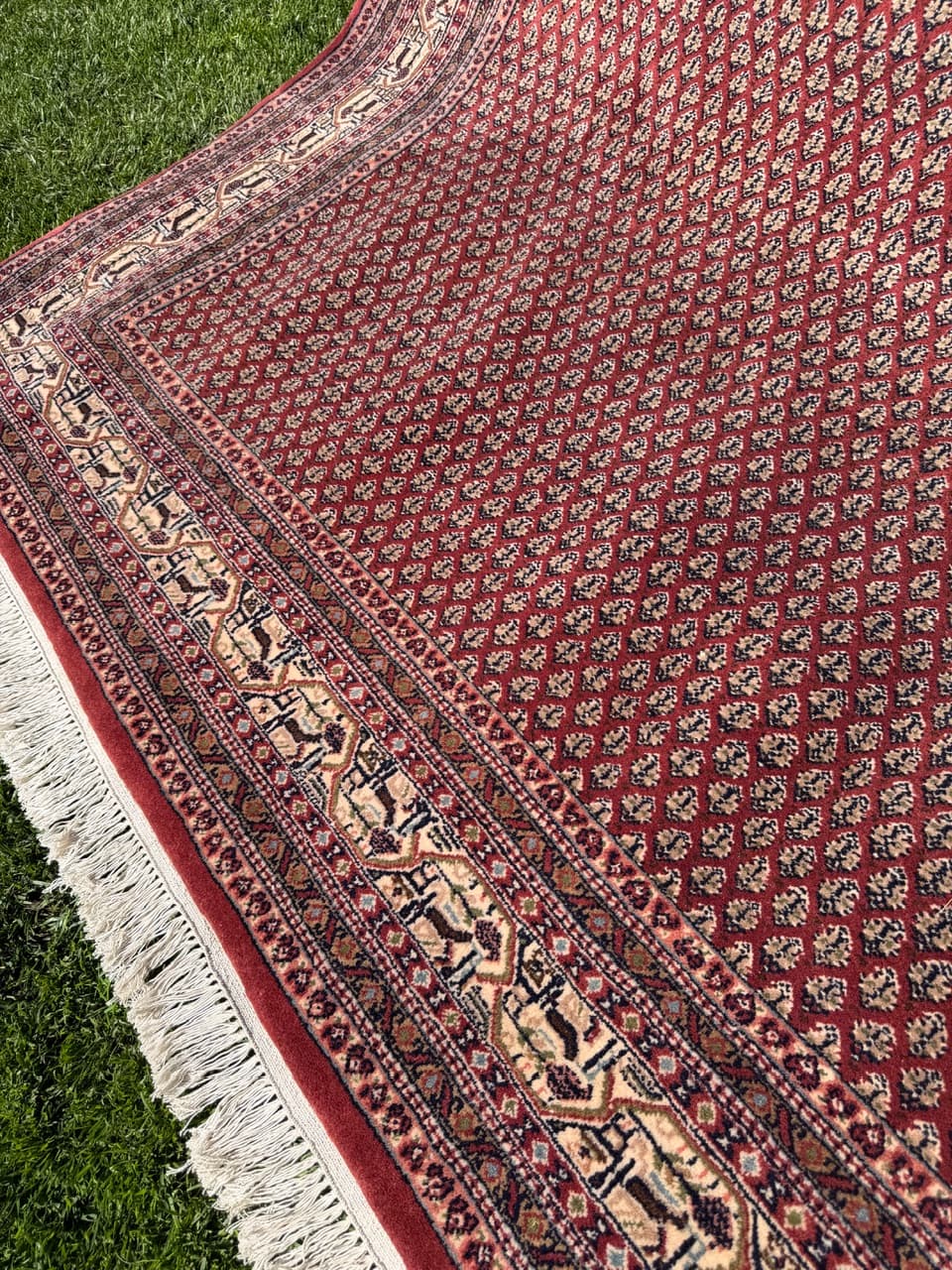 Rug Indo Mir 300x200 cm, burgundy, Kashmiri wool, India - 319179
