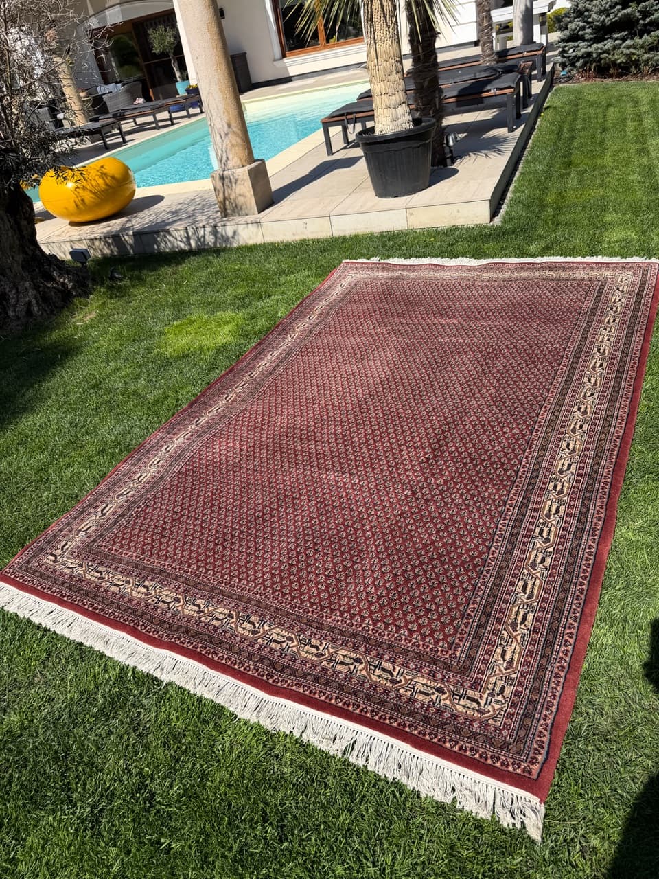Rug Indo Mir 300x200 cm, burgundy, Kashmiri wool, India - 319176