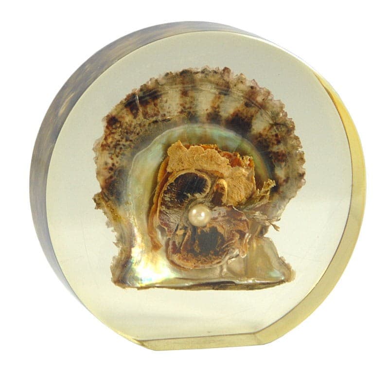Paperweight, mid-century modern, transparent yellowish plexiglass, pearl oyster shell, 1970s - 323440