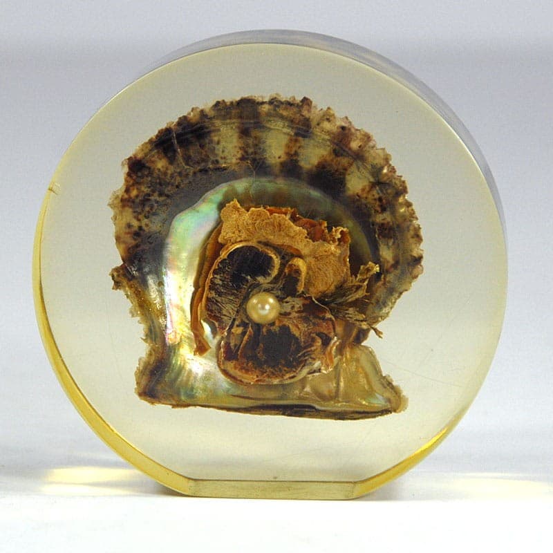 Paperweight, mid-century modern, transparent yellowish plexiglass, pearl oyster shell, 1970s - 323439