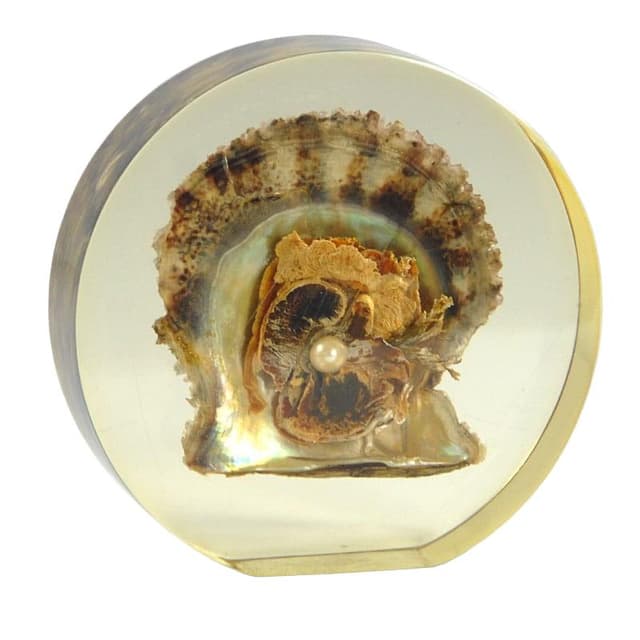 Paperweight, mid-century modern, transparent yellowish plexiglass, pearl oyster shell, 1970s - DIMENSION