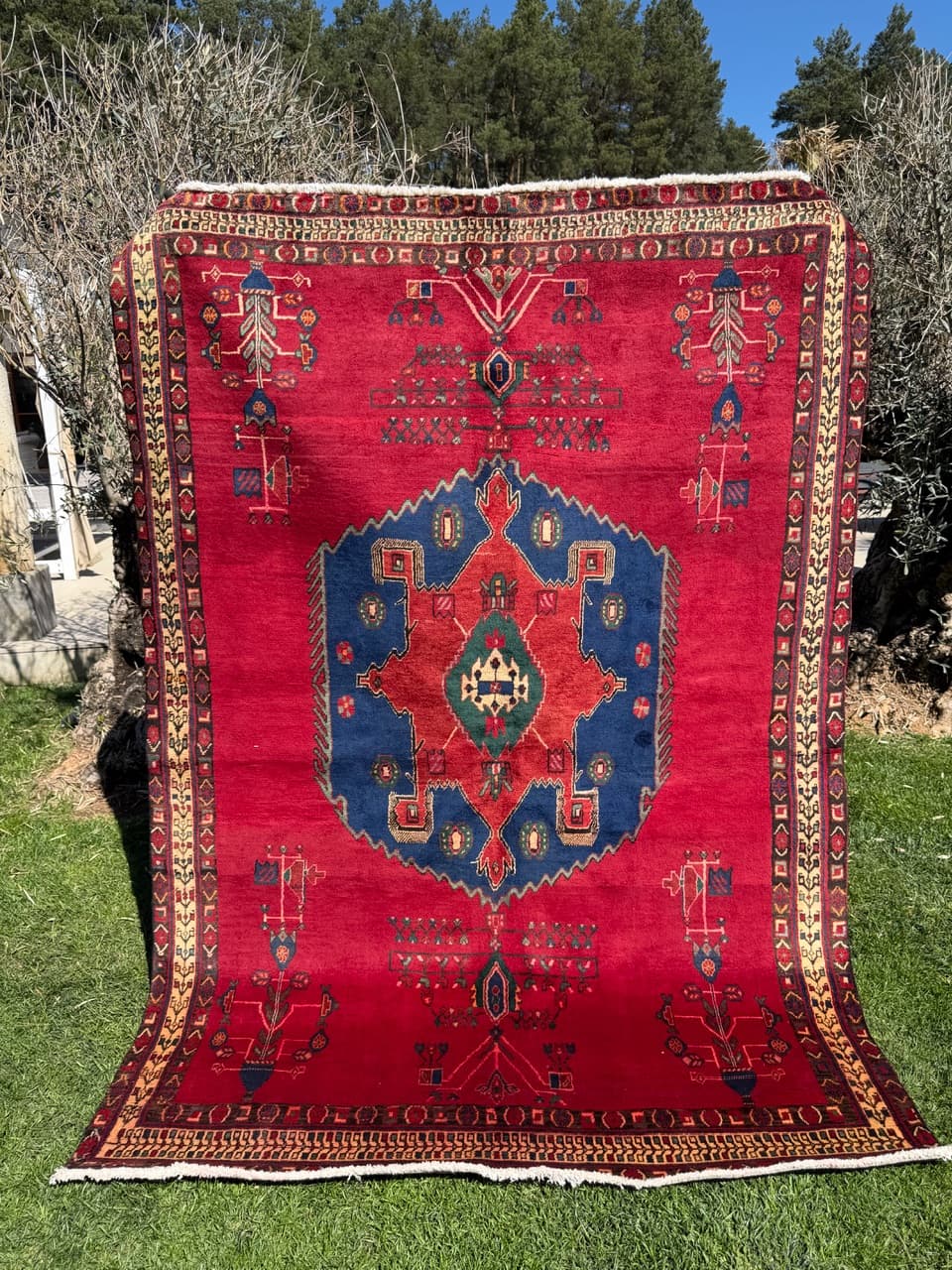Rug Hamadan 240x170 cm, red blue green beige gold black brown, wool, Iran - 322970